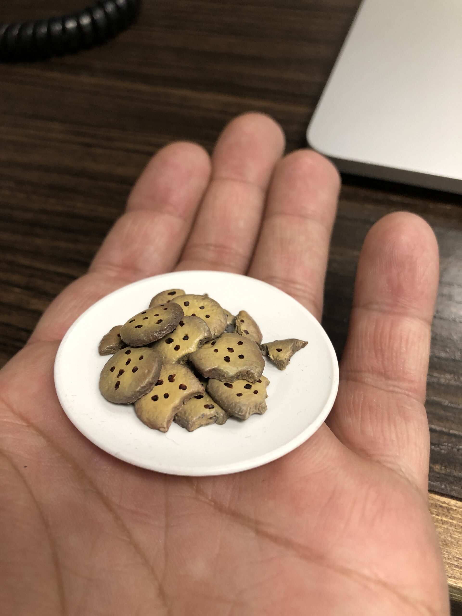 Mini Cookies: 3D Printing, Model Making & Scenic Paint.